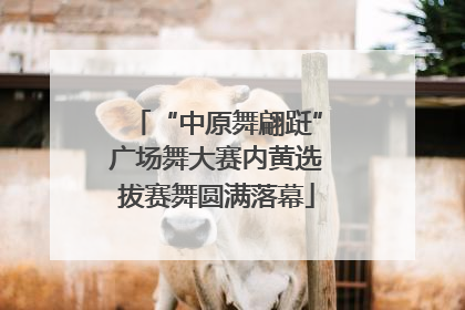 “中原舞翩跹”广场舞大赛内黄选拔赛舞圆满落幕